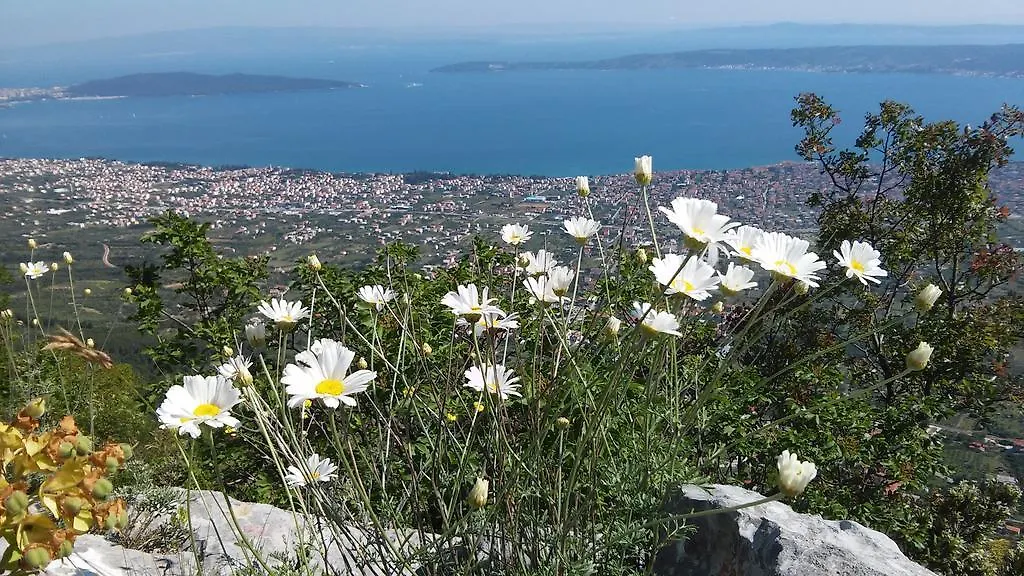 Apartment Katarina Kastela